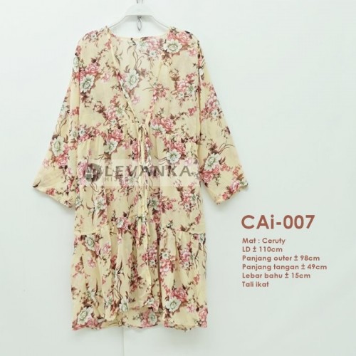 CAi-007 Outer Ceruti / Cerutty motif